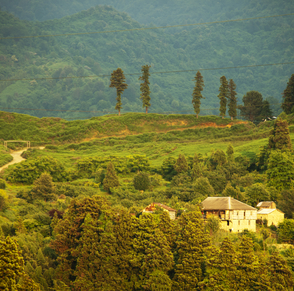 טיול מאורגן לבטומי עם נתור