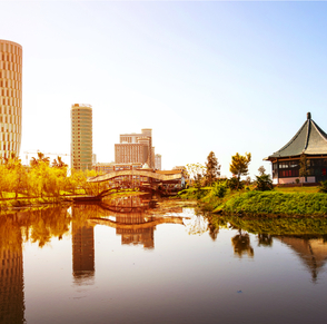 טיולים מאורגנים בטומי