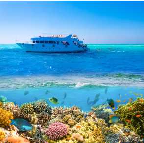 חבילות קטניה סיציליה